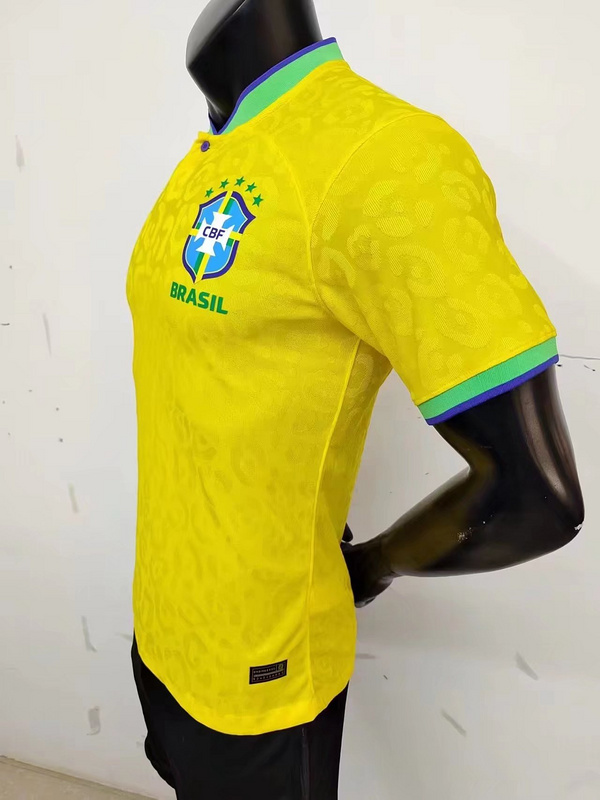 2022 Brazil home